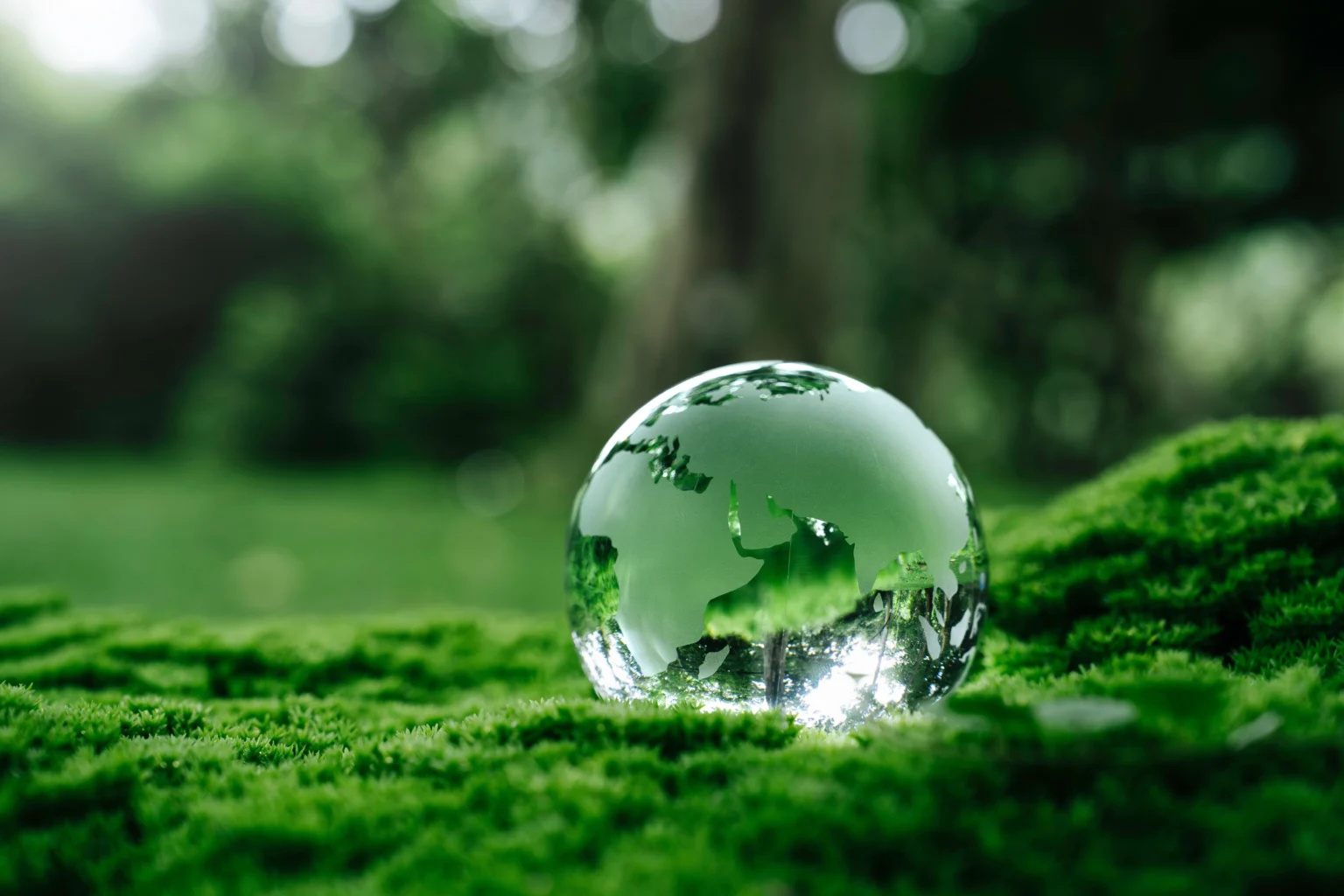 Sustainability